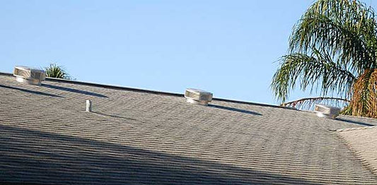 Feedback From Florida