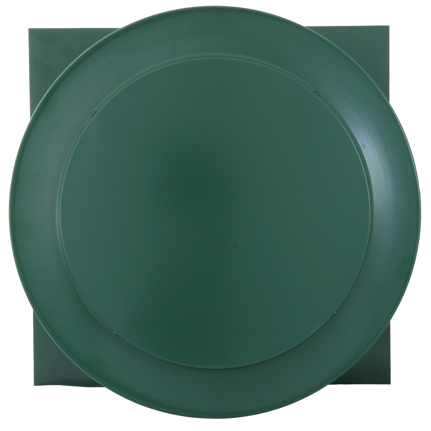 Pine Green STANDARD   RAL 6028