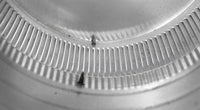 Model KV - 9 - TP | Keepa Vent | 9" Diameter | Tail Pipe - Active Ventilation Products