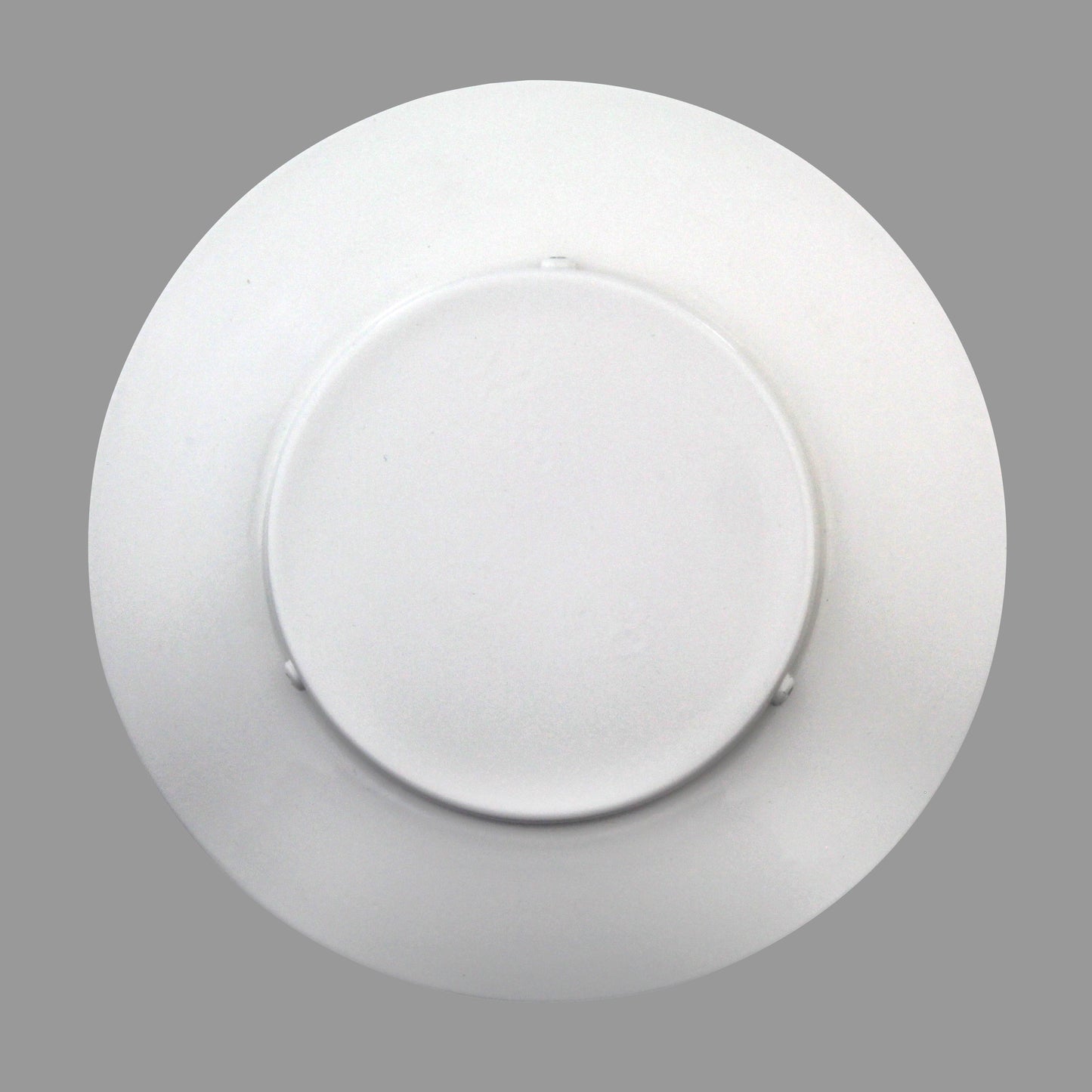 Model VPC-4 | Vent Pipe Cap  |  4" Diameter