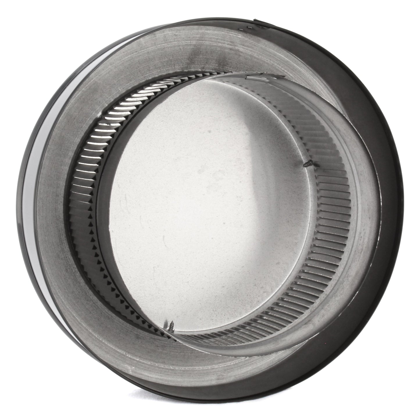 Plain Black STANDARD