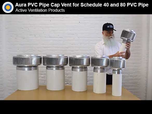Collection Video Thumbnail